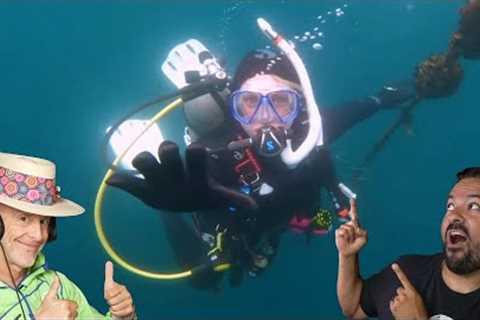 Divers React to Terrifying Wreck Experience