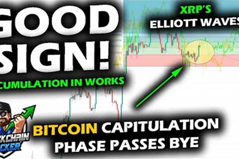 A QUICK RISE for the Bitcoin Price Chart, XRP and Altcoin Market, Diving Into Accumulation Behavior