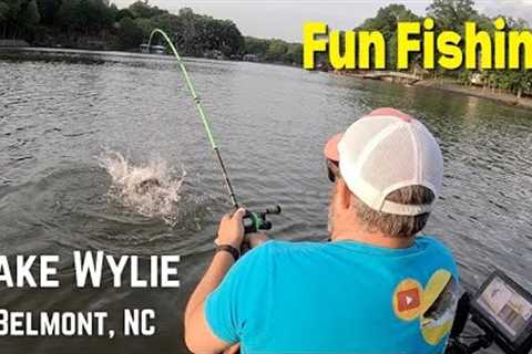 Fun Fishing for Largemouth Bass at Lake Wylie's South Point Access Area - Kayak Fishing
