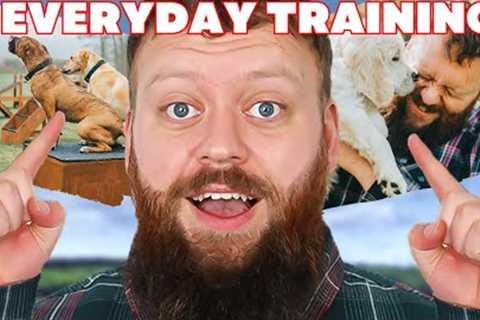 3 Dog Training Exercises You Should Do EVERY DAY