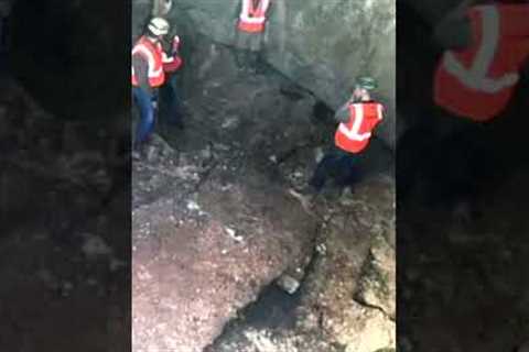Man Digging In His Backyard Makes A Surprising Discovery #shorts