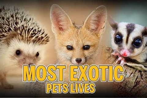Most EXOTIC PETS LIVES