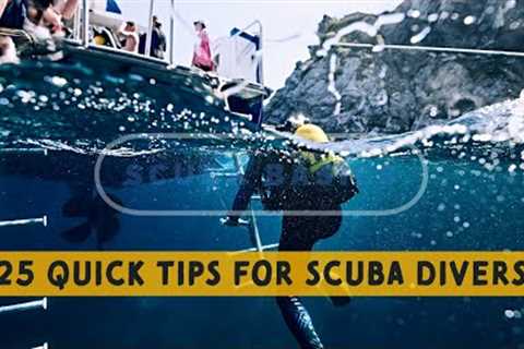 Scuba Diving Basics: 25 Top Tips That Will Make You A Better Scuba Diver