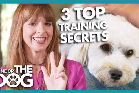 Victoria Stilwell Reveals 3 Secret Dog Training Tips! | It's Me or The Dog