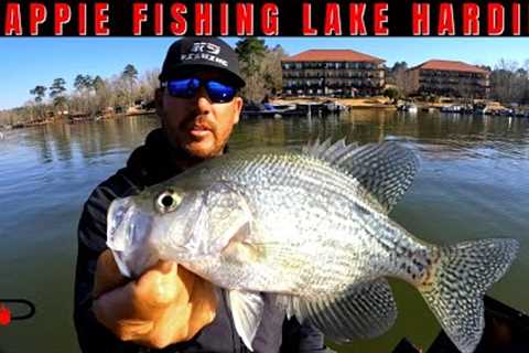Lake Harding Crappie Fishing