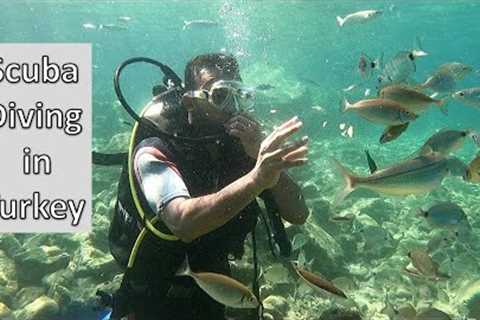 Scuba diving in turkey / turkey scuba diving / turkey scuba diving / turkey marmaris