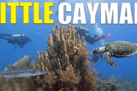 Scuba Diving The MIXING BOWL In Little Cayman