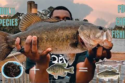 Lake Talquin|How To Catch More Panfish| Live Bait Fishing| Food Fishing Chain Challenge|LOADED FISH