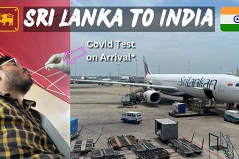 *INDIA aatei COVID Test hogya* | Colombo to Chennai CHEAP Flight | Colombo BEST Hostel