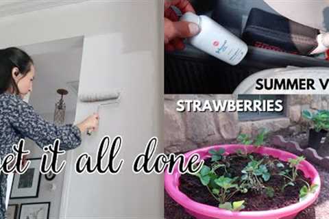Spring Projects Around the House