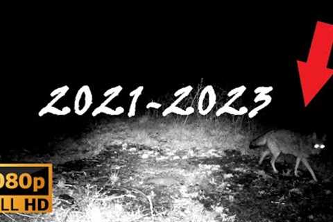 Wild Animals! Vermont Trail Camera (TWO YEARS)! You Won't Believe What We Found! #creatures