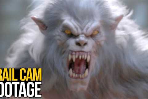 Trail Cam Footage That STOPPED The INTERNET