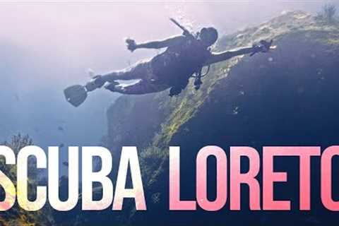 Scuba Diving in Loreto Mexico and the sensational Sea of Cortez