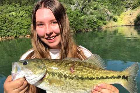 Nice bass bite flukes and poppers! (Shasta Lake)