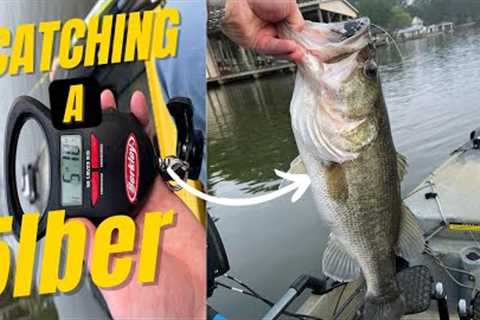 Catching a 5lber | Lake Conroe Bass Fishing | April 2022