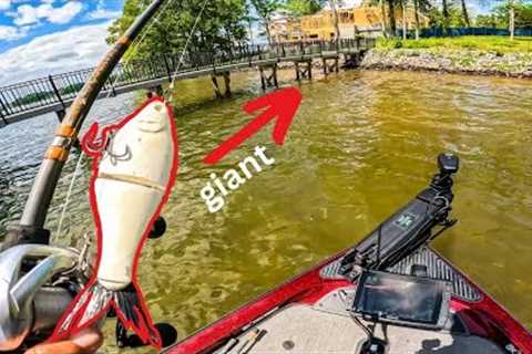 Fastest Limit We've Ever Caught &amp; INSANE Last Hour Glidebait Bite that made us $$! Lake Norman..
