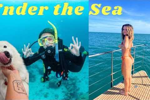 Australia Travel Vlog Part 8 | Cairns | Scuba-Diving, The Great Barrier Reef, Cape Tribulation