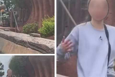 Splash Mountain Rider Has 'Panic Attack', Jumps Out: Video
