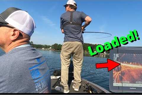 Badin lake BASS FISHING tournament with TATER HOG…(glide bait fishing) (livescope footage)