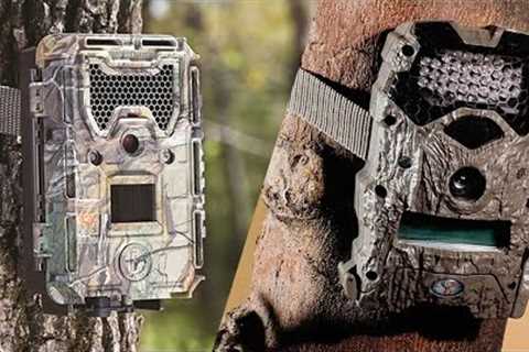 Top 5 Best Trail Cameras of 2023