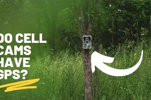GPS in CELLULAR TRAIL CAMERAS! Is it all HYPE?