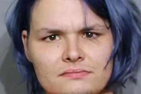 Man Uses Spray-Painted Nintendo Duck Hunt Pistol in Robbery, Sheriff Deputies Say