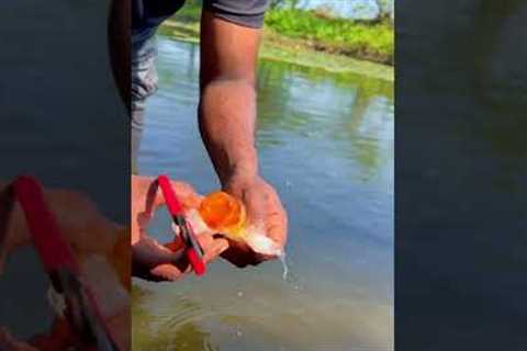 Fishing 🎣 liquid #fishing #shorts #fish #lake #fishingvideo #beard  #tamil #fishinglife #liquid