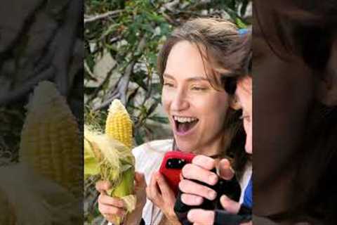 Things get a little corn-y. Island Questaway #shorts