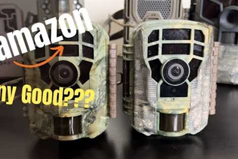 Amazon BUDGET (CamPark) Trail Camera Review With Videos &amp; Pictures