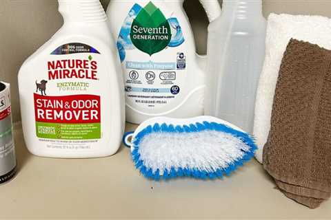 How to Clean a Dogbed