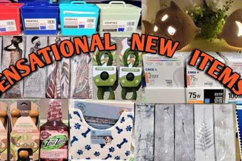 Come With Me To Dollar Tree | SENSATIONAL NEW ITEMS | Name Brands | $1.25