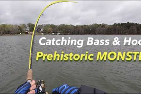 Lake Norman’s Prehistoric MONSTER (&amp; Spotted Bass) April