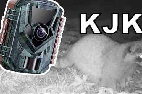 kjk 24 megapixel trail camera review and night shots