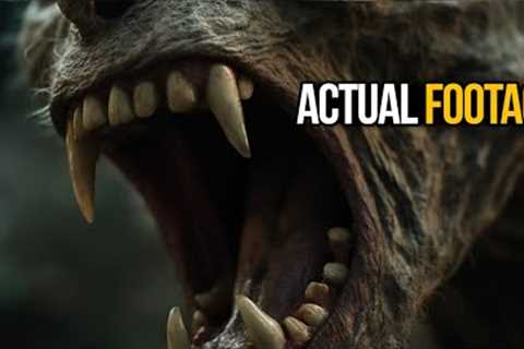 Bizarre Trail Cam Captures That SHOCKED The Internet
