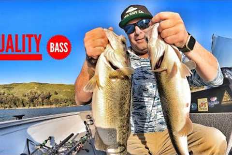 Fishing for Big Spring Time Bass-Castaic Lake