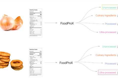 AI Detects Processed Foods