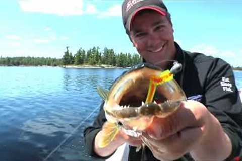 Rainy Lake Walleye Fishing in Shallow Water w/ In Depth Outdoors TV S6 E9