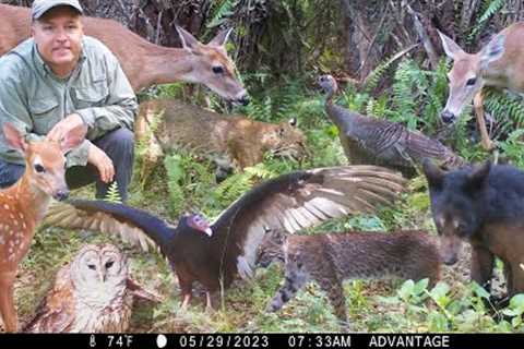 Tim Harrell - Browning Swamp Trail Camera Pickup