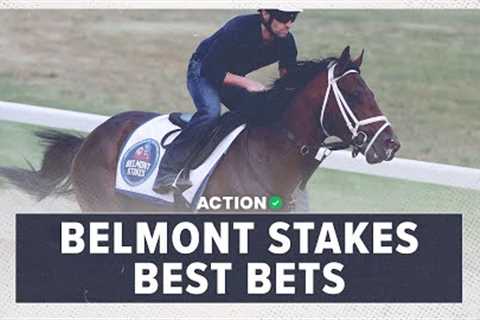 2023 Belmont Stakes Best Bets | Horse Racing Picks, Odds &amp; Strategy | Horse Racing Betting 101