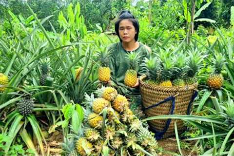 Harvest pineapples and bring them to the market to sell, clean up around the house, survival skills