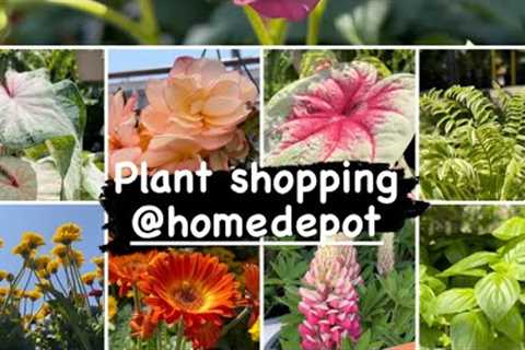 Plant shopping @ Home Depot