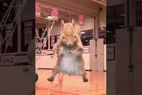The best sports highlights in the history of ESPN! 🔥