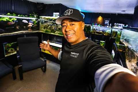 EVERY Fish Tank in My Fishroom!