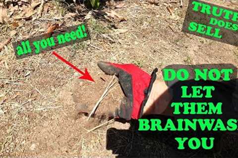 The BIGGEST Gardening Myth: Soil Amendments