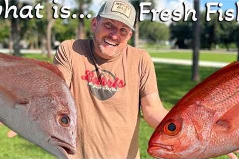 What is Fresh Fish? {Catch Clean Cook} How Long Does Seafood stay Fresh?