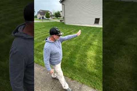 What's Going On In This Lawn?