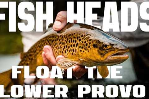 Fly Fishing the Lower Provo River In A Flycraft: Utah's Trout Paradise With Fish Heads Fly Shop