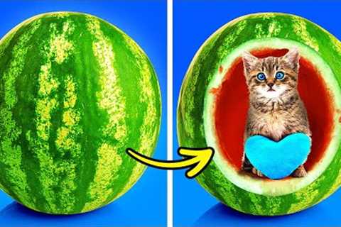 Simple and Cool Crafts For Your Lovely Pets