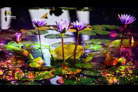 Healing Relaxing Music For Stress Relief l Reduce Stress &amp; Anxiety l Relax Mind Body Sleep Music