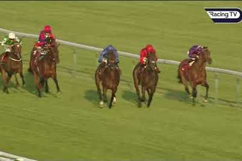 €2 million purchase Ancient Wisdom makes winning debut